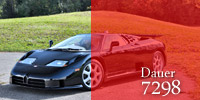 Dauer #7298