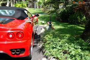 Ferrari 360 spider