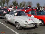 Alfa Romeo Giulia SS
